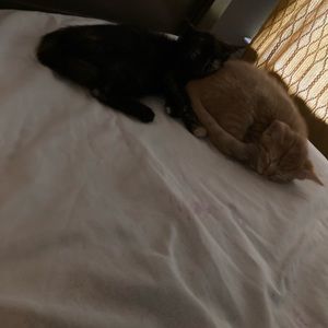 Meet your Posher, Kendra